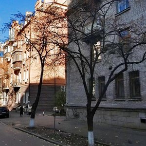 Voloska Street, 50/38, Kyiv: photo