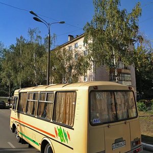 Саранск, Ботевградская улица, 104: фото