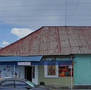 Pokrovs'ka Street, 108А, Zhytomyr: photo