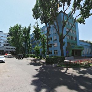 Kazybek Bi Street, 66, Almaty: photo