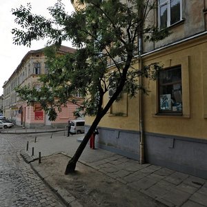 Vulytsia Fedkovycha, No:27, Lviv: Fotoğraflar