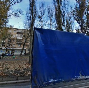 Vatslava Havela Boulevard, 87, Kyiv: photo