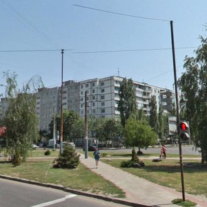 Marshala Zhukova Street, 8, Voronezh: photo