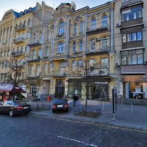 Velyka Vasylkivska Street, 44, Kyiv: photo