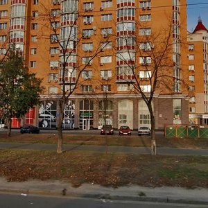 Heroiv Stalinhrada Avenue, No:4к6, Kiev: Fotoğraflar