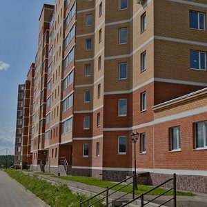 Schapovo Village, 59, Moscow: photo