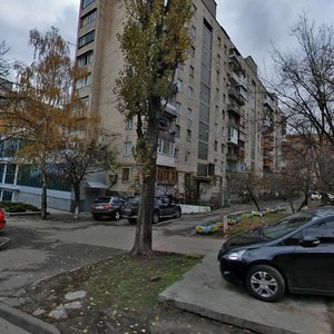 Yevhena Konovaltsia Street, 15к1, Kyiv: photo