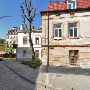 Rybna vulytsia, 1, Lviv: photo