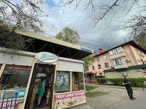 Auezov Street, 136/1, Almaty: photo