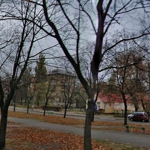 Verkhovnoi Rady Boulevard, 22, Kyiv: photo