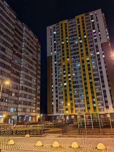 Vasnetsovskiy Avenue, 22 ، سان بطرسبرغ: صورة