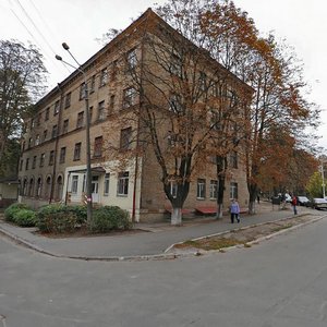 Desnianska Street, 19, Kyiv: photo