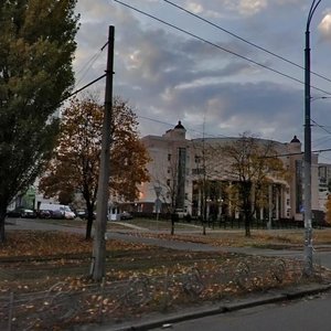 Marshala Tymoshenka Street, 13Б, Kyiv: photo