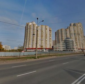 Dniprovska Embankment, 17А, Kyiv: photo