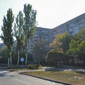 Vulytsia Zaporozkoho Kozatstva, 13, Zaporizhia: photo