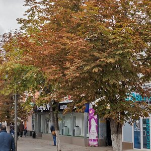 Prospekt imeni Petra Stolypina, 38 ، ساراتوف: صورة
