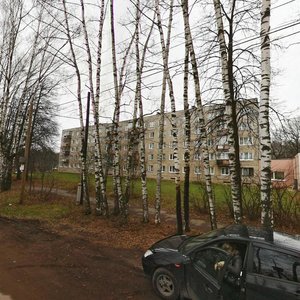 Settlement of Selektsionnoy Stantsii, 19, Nizhny Novgorod Oblast': photo