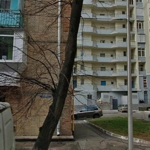 Panasa Myrnoho Street, 17, Kyiv: photo