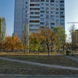 Obolonskyi Avenue, No:32, Kiev: Fotoğraflar