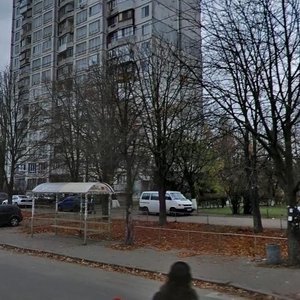 Romena Rollana Boulevard, 11, Kyiv: photo