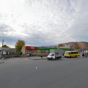 Vulytsia Kyivskyi Shliakh, 100, Boryspil: photo