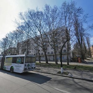 Holosiivskyi Avenue, 84, : foto