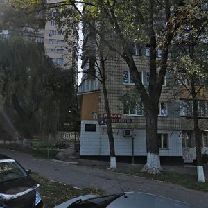 Polkovnyka Potiekhina Street, 2, Kyiv: photo