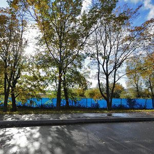 Krestovskiy Avenue, 21Д ، سان بطرسبرغ: صورة