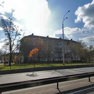 Druzhby Narodiv Boulevard, 12, Kyiv: photo