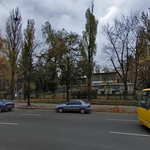 Vasylkivska Street, 39, Kyiv: photo