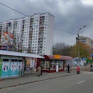 Lisovyi Avenue, 37, Kyiv: photo