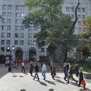 Vozdvizhenka Street, 9с2, Moscow: photo