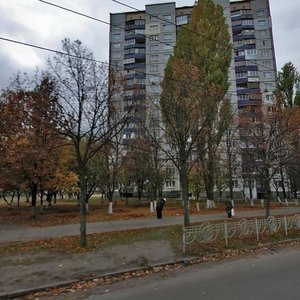 Marshala Yakubovskoho Street, 9, Kyiv: photo