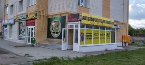 Kikvidze Street, 110А, Tambov: photo
