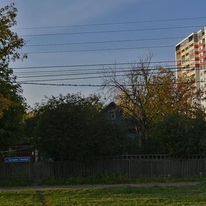 Нижний Новгород, Улица Аркадия Гайдара, 42: фото