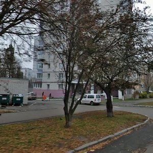 Volhohradska Street, 9А, Kyiv: photo