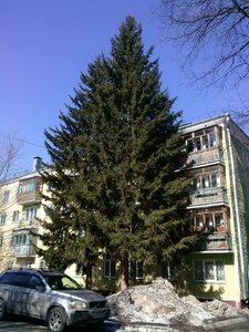 Tereshkovoy Street, 36, Novosibirsk: photo