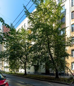 Vsevoloda Vishnevskogo Street, 16, Saint Petersburg: photo