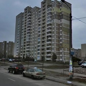 Akademika Yefremova Street, 19, Kyiv: photo