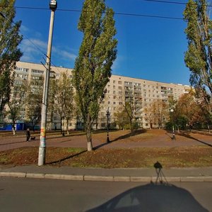 Marshala Malynovskoho Street, 27/23 ، كييف: صورة