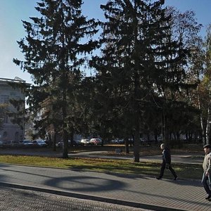 Чернигов, Улица Шевченко, 5: фото