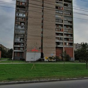 Kollontay Street, 9 ، سان بطرسبرغ: صورة