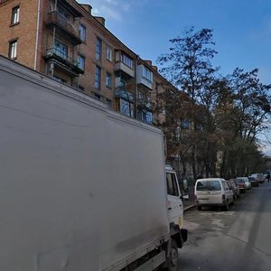 Oleksy Tykhoho Street, 87, Kyiv: photo