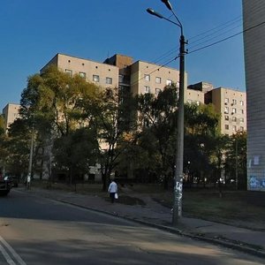 Suleimana Stalskoho Street, 28, Kyiv: photo