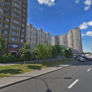 Petra Hryhorenka Avenue, 18, Kyiv: photo