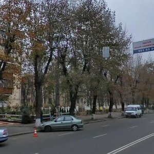 Vidradnyi Avenue, 20, : foto