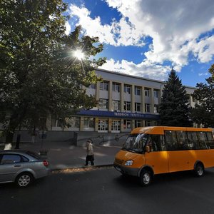 Yevropeiska vulytsia, 10, Vyshneve: photo