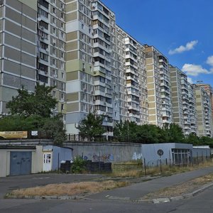 Sribnokilska Street, 16, Kyiv: photo