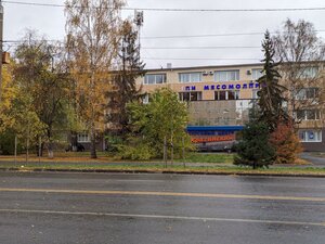 Krasina Street, 55 ، : صورة