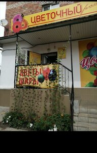 Pionerskaya ulitsa, 16 ، : صورة